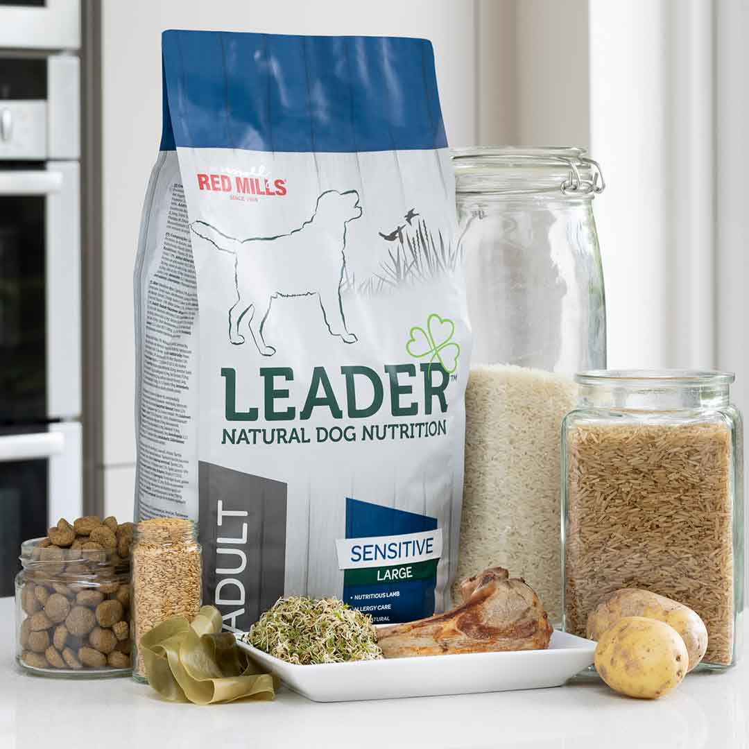 Leader - Adult Sensitive Large Breed Dog Food