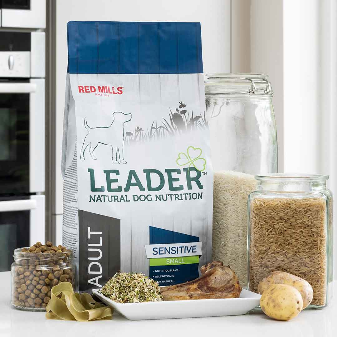 Leader Adult Sensitive Small Breed Dog Food