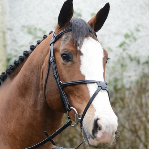 Mackey Classic Grackle Bridle & Reins - RedMillsStore.ie