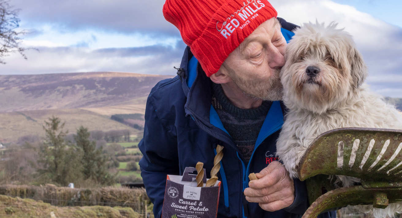 How We Fed Dogs Across Ireland