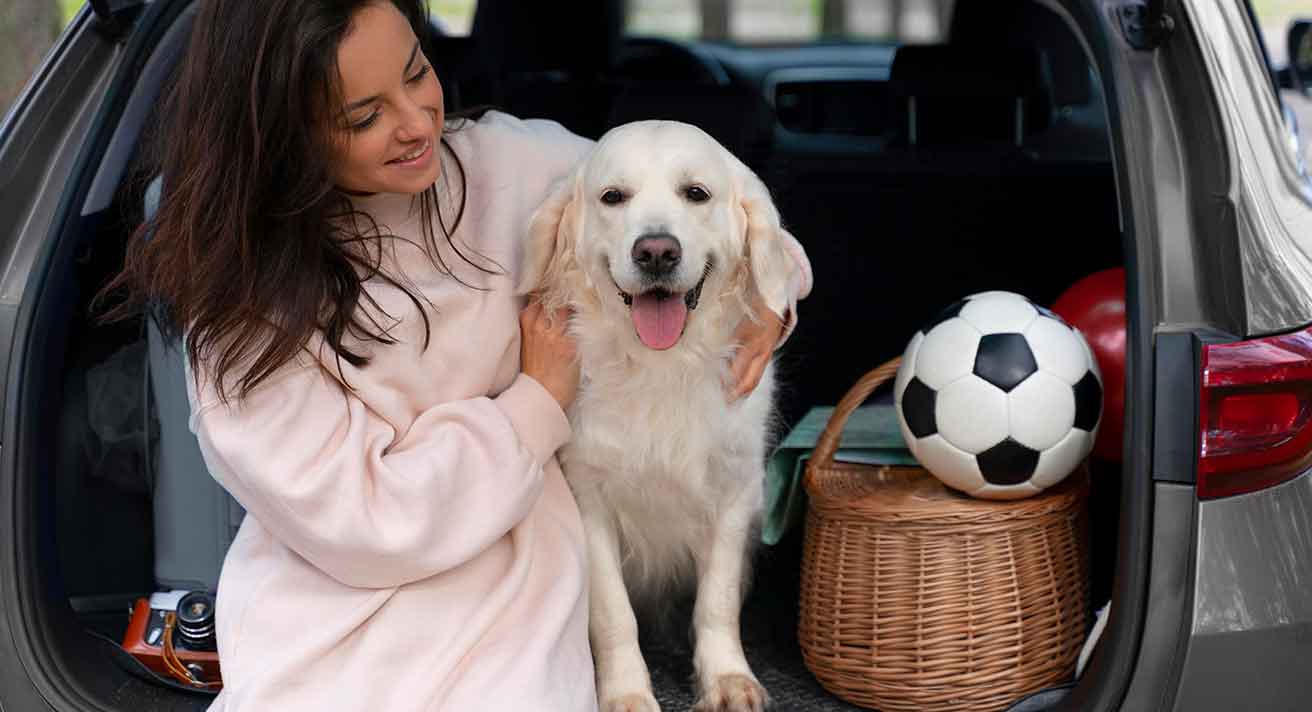 Dog-Friendly Hotels in Ireland for Your Staycation