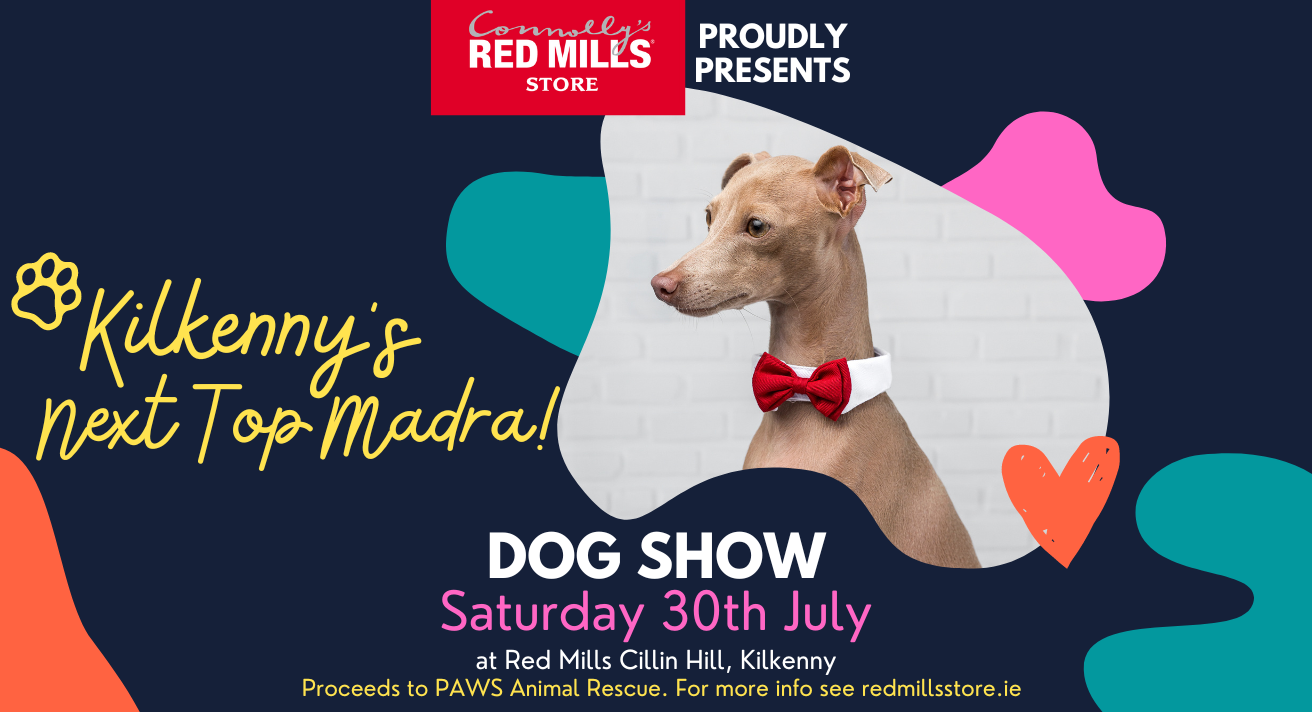 Kilkenny's Next Top Madra Dog Show!