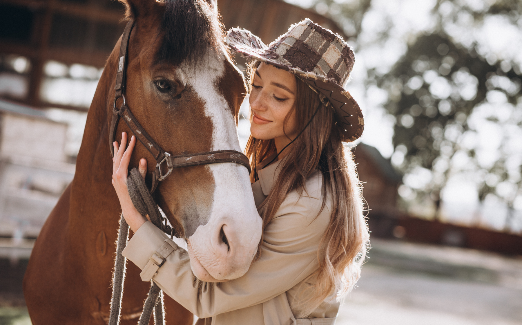 Gift Guide for your Horse on this Valentine's Day