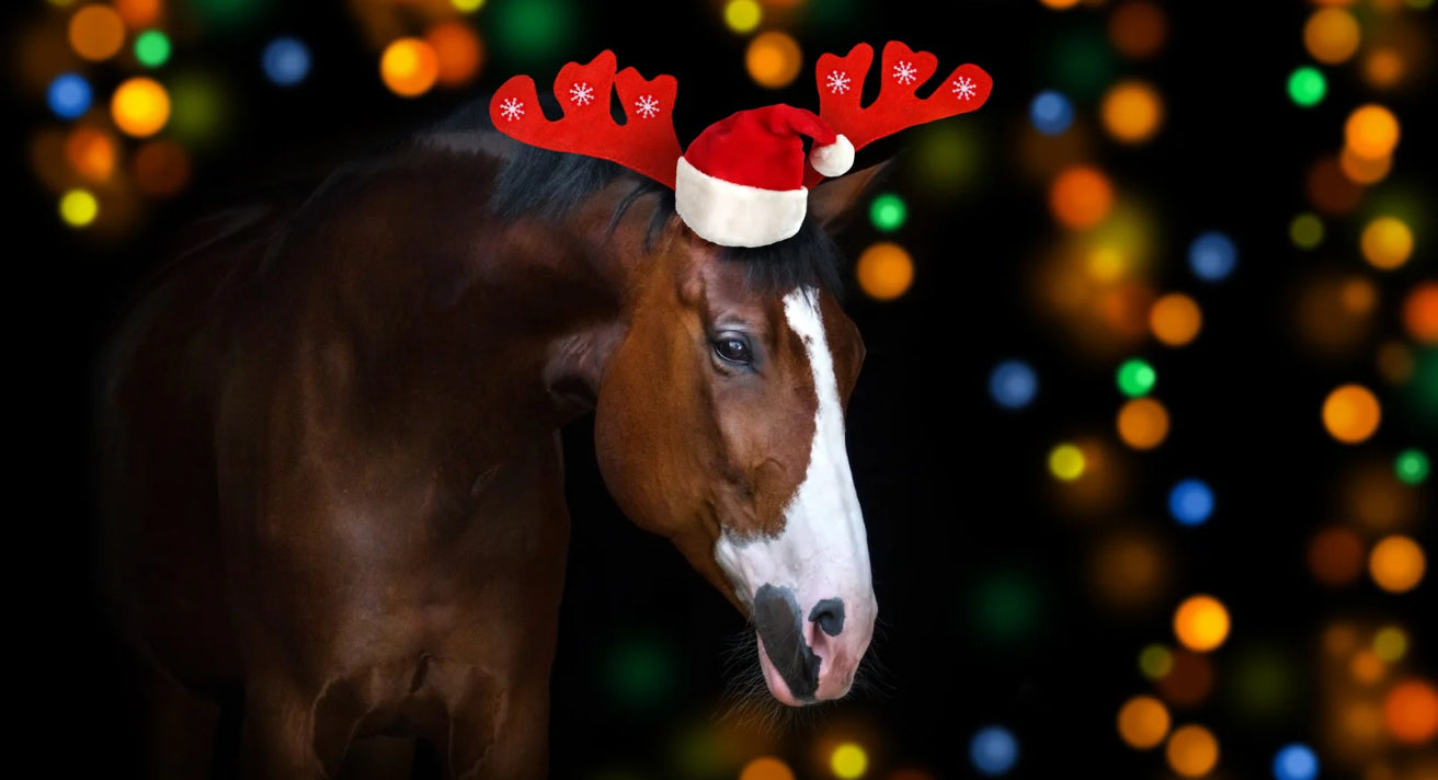 Christmas Gifts for Horses: Treats, Grooming & More
