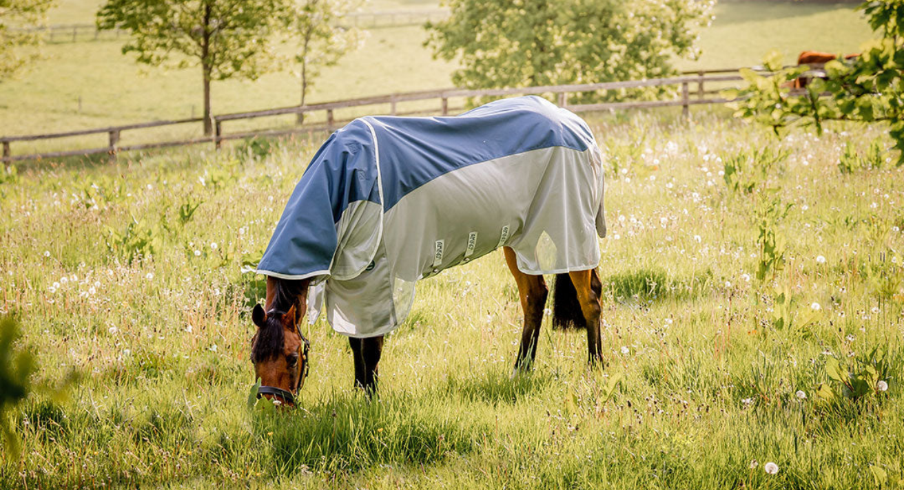 Get Ready for the Season with the Red Mills Horseware Sale