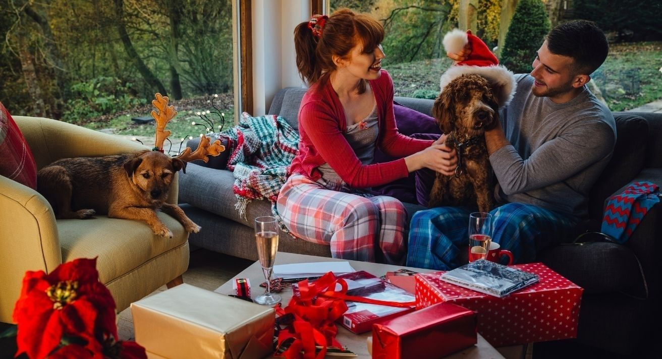 Christmas Gift Ideas for our Four-Legged Friends