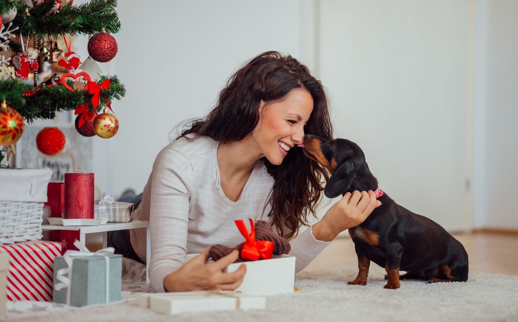 Christmas Gifts for your Pet