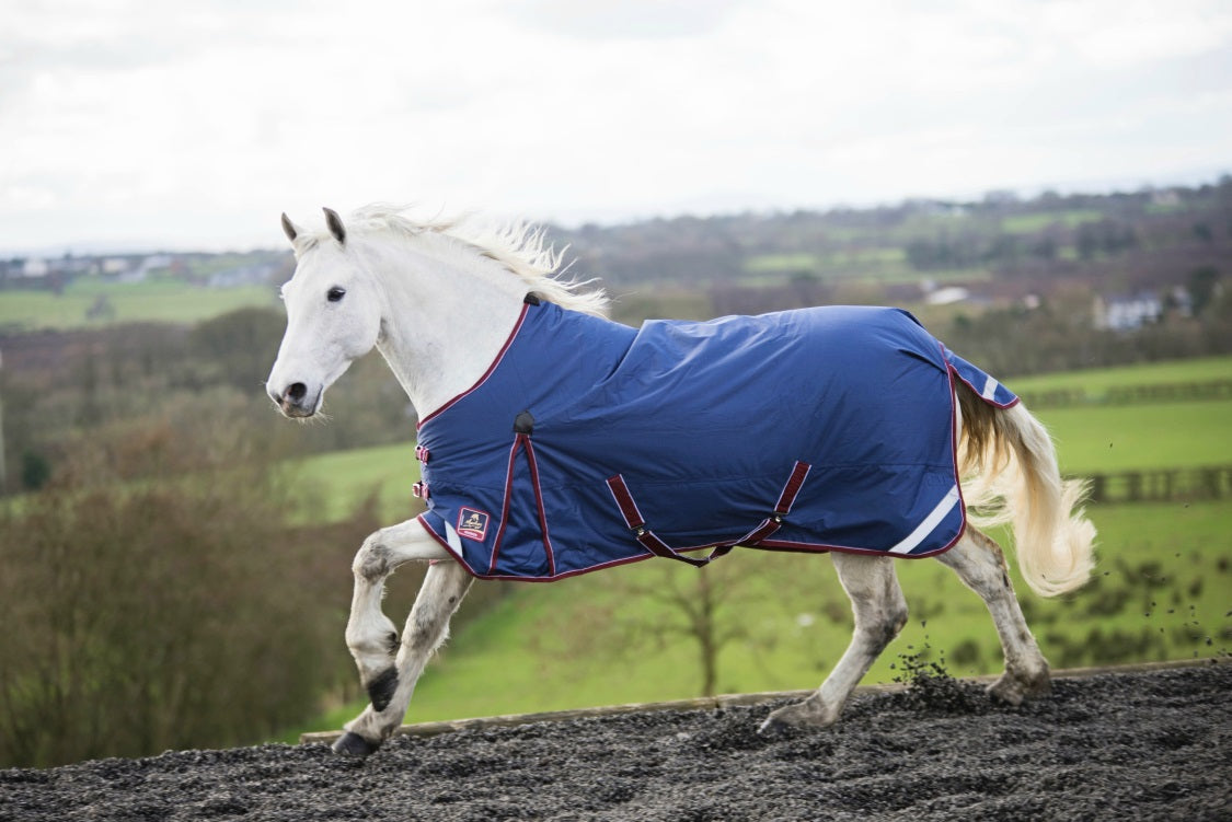 Our Top 5 Horse Rugs for Winter!