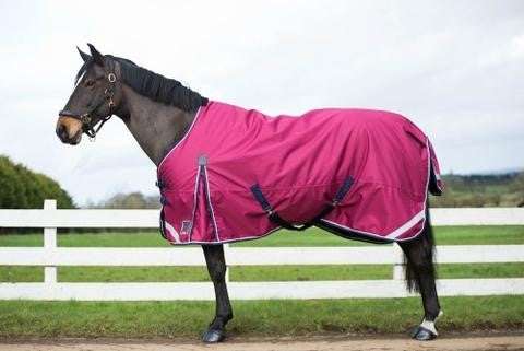 Our Top 5 Rugs This Winter!