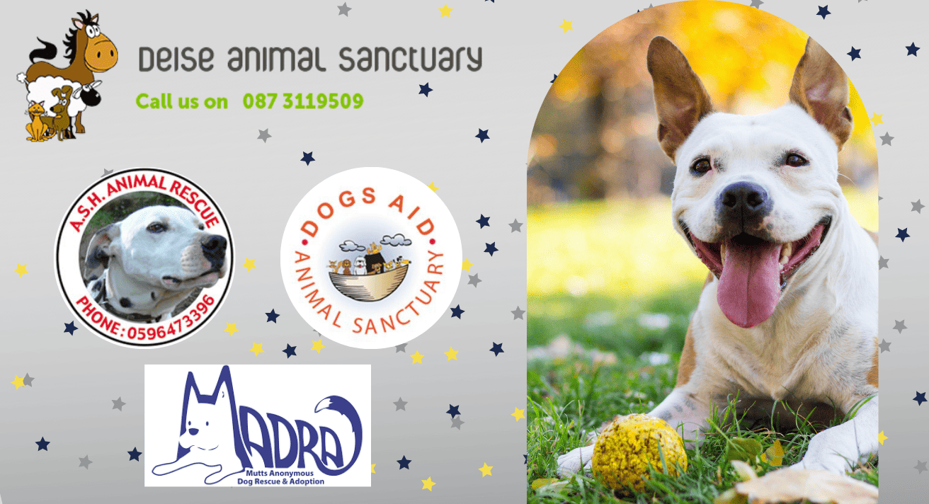 Feed a Rescue Dog with Red Mills!