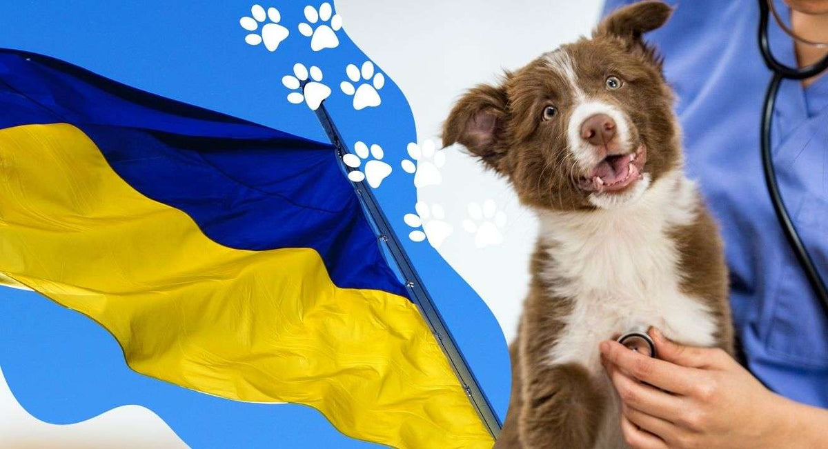 Help Us Support Pets in Ukraine