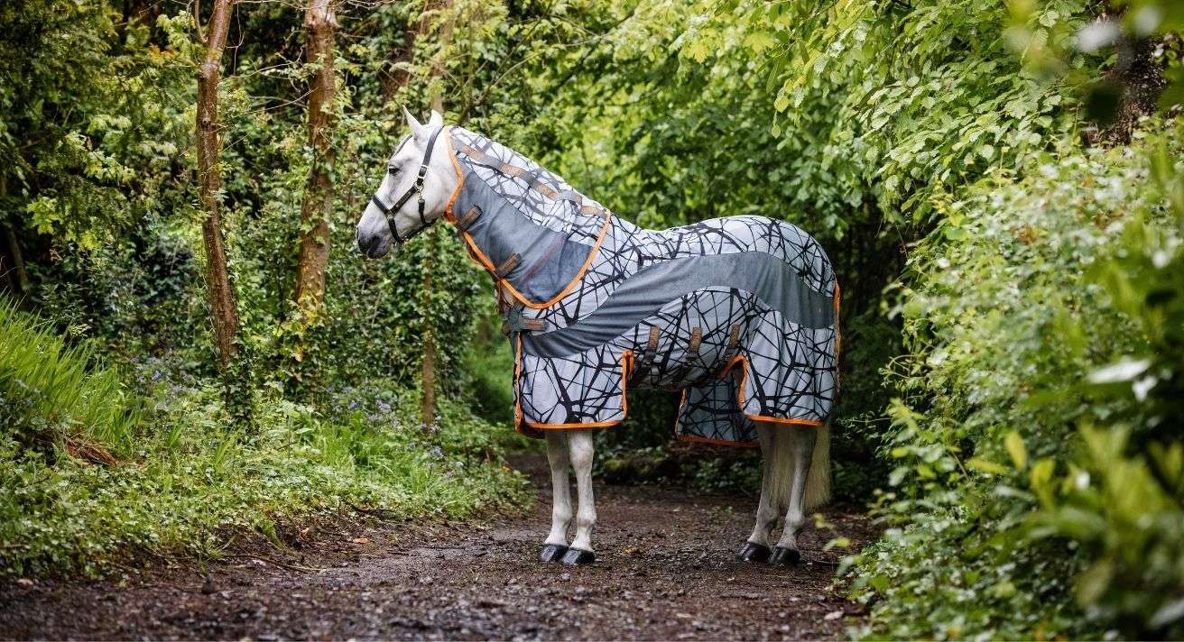 Top Reasons You Should use a Fly Rug and Fly Mask on Your Horse This Summer