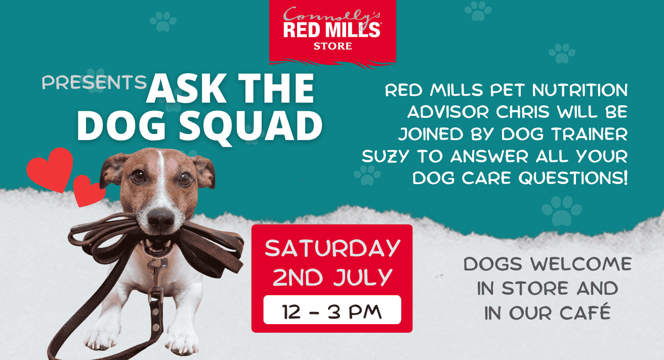 Ask the Dog Squad!