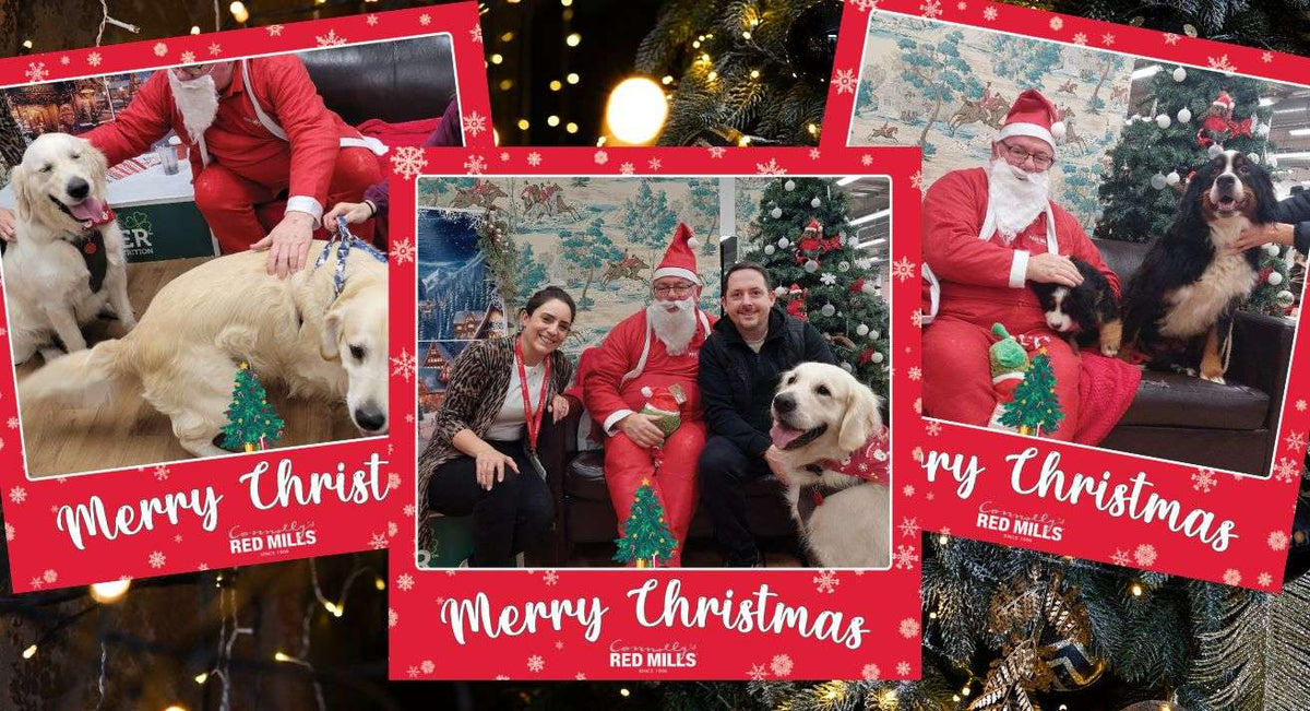 Santa Paws 2023!