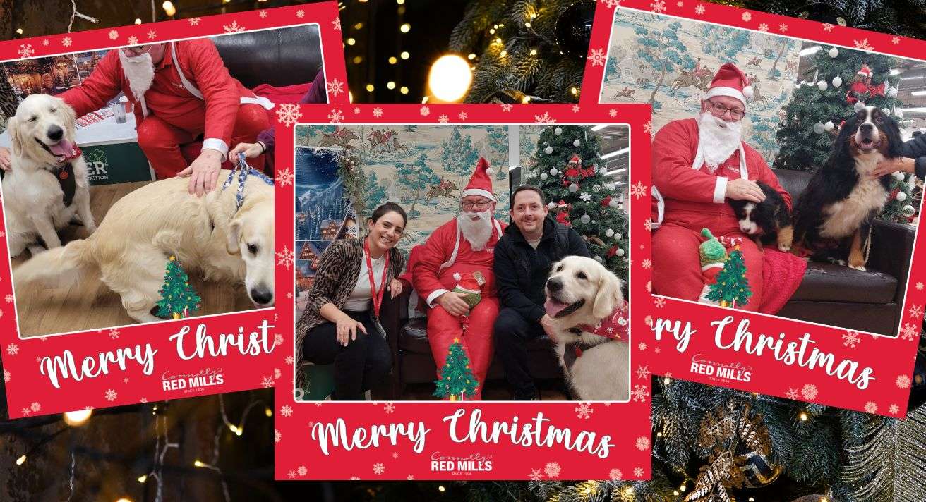 Santa Paws 2023!