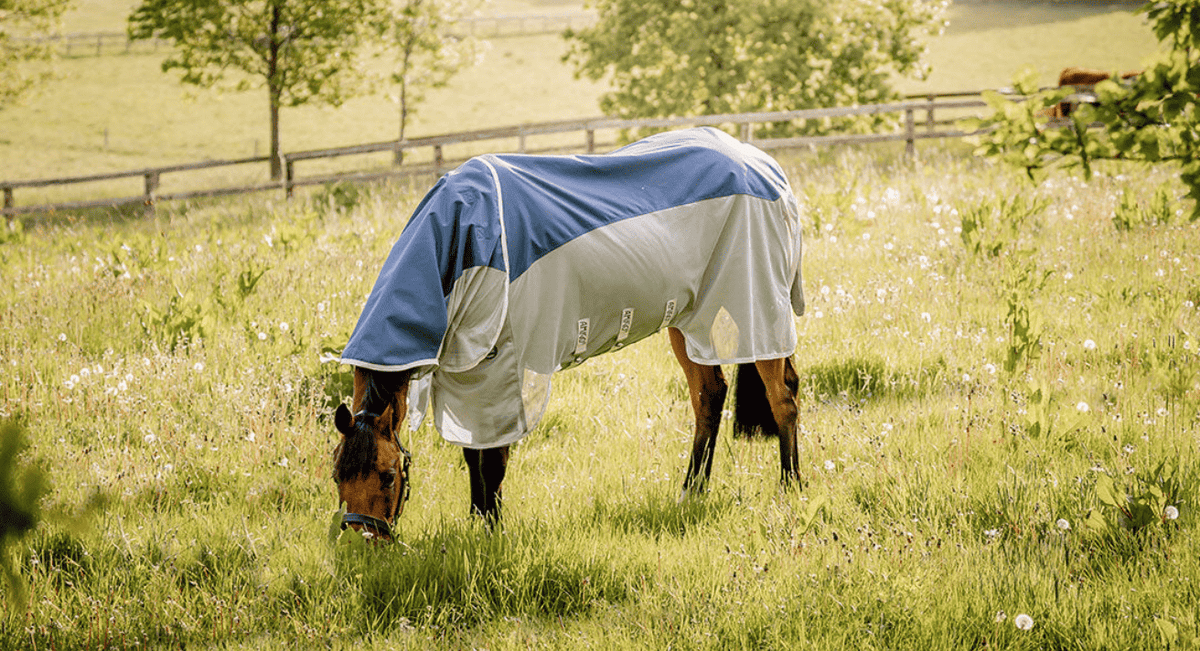 Get Ready for the Season with the Red Mills Horseware Sale