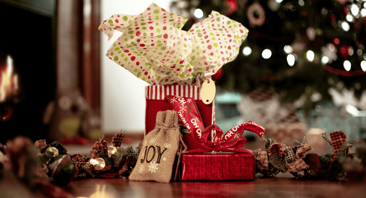 Ultimate Christmas Gift Guide 2025: Perfect Gifts for Her, Him, Pets & Equestrian Lovers