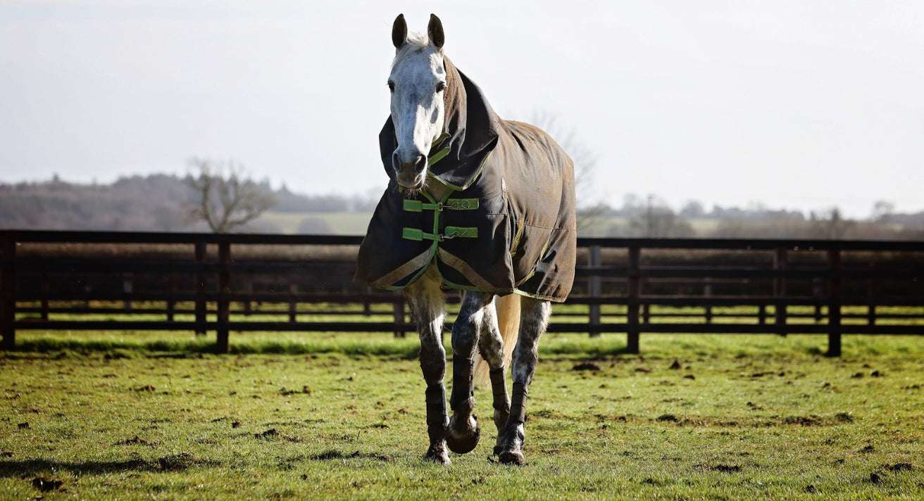 Complete Clipping Care: Everything You Need for Clipping Season