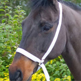 EquiSential Show Halter