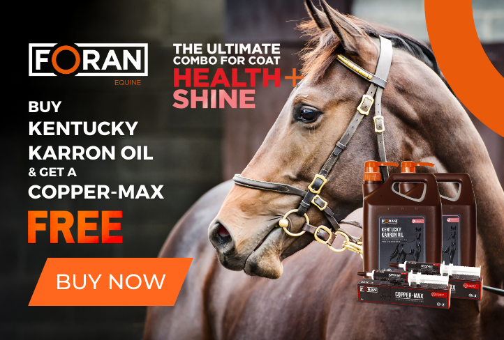 Equestrian shops hot sale online