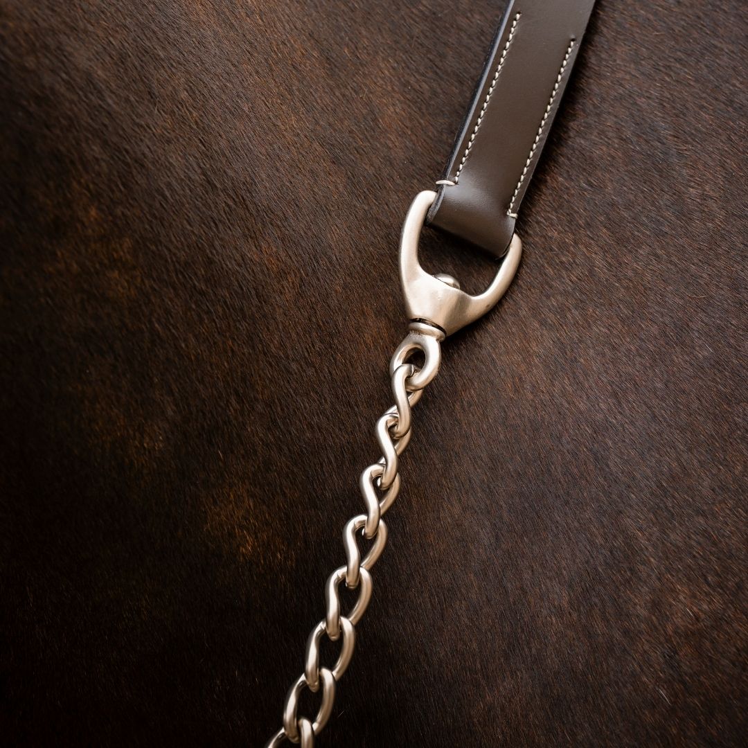 Horseware Signature Lead With Chain in Brown