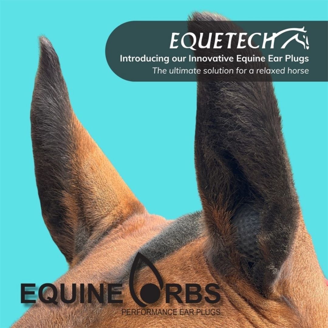 Equine Orbs Ear Plugs