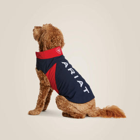Ariat Team Softshell Dog Coat in Navy & Red