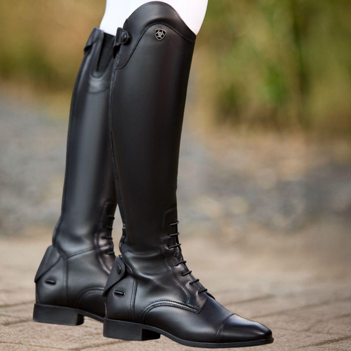 Ariat Women's Palisade Field Tall Riding Boot in Black
