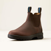 Ariat Women's Cooper Chelsea Boots in Brunette