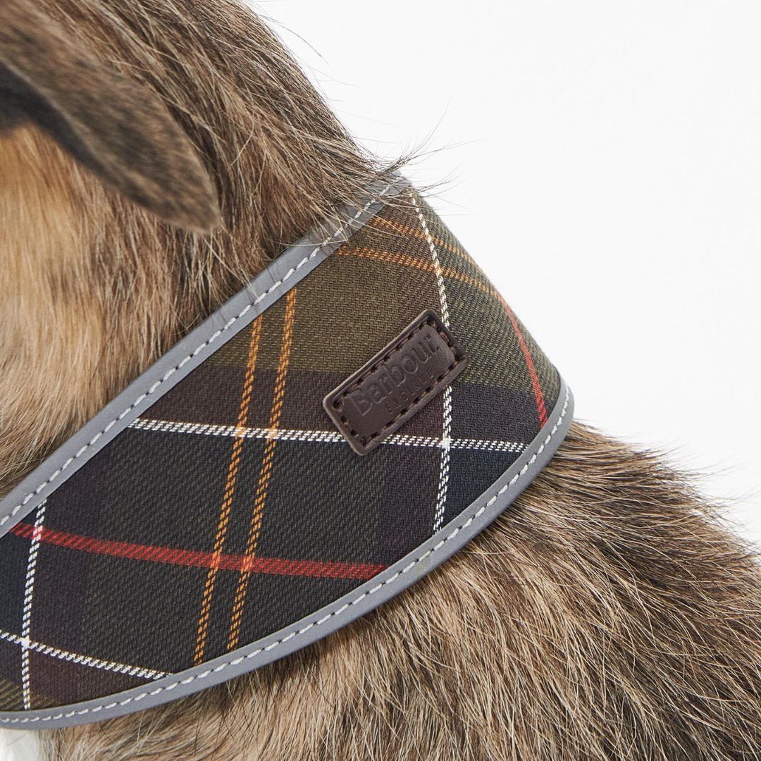 Barbour Comfort Lurcher Dog Collar in Classic Tartan