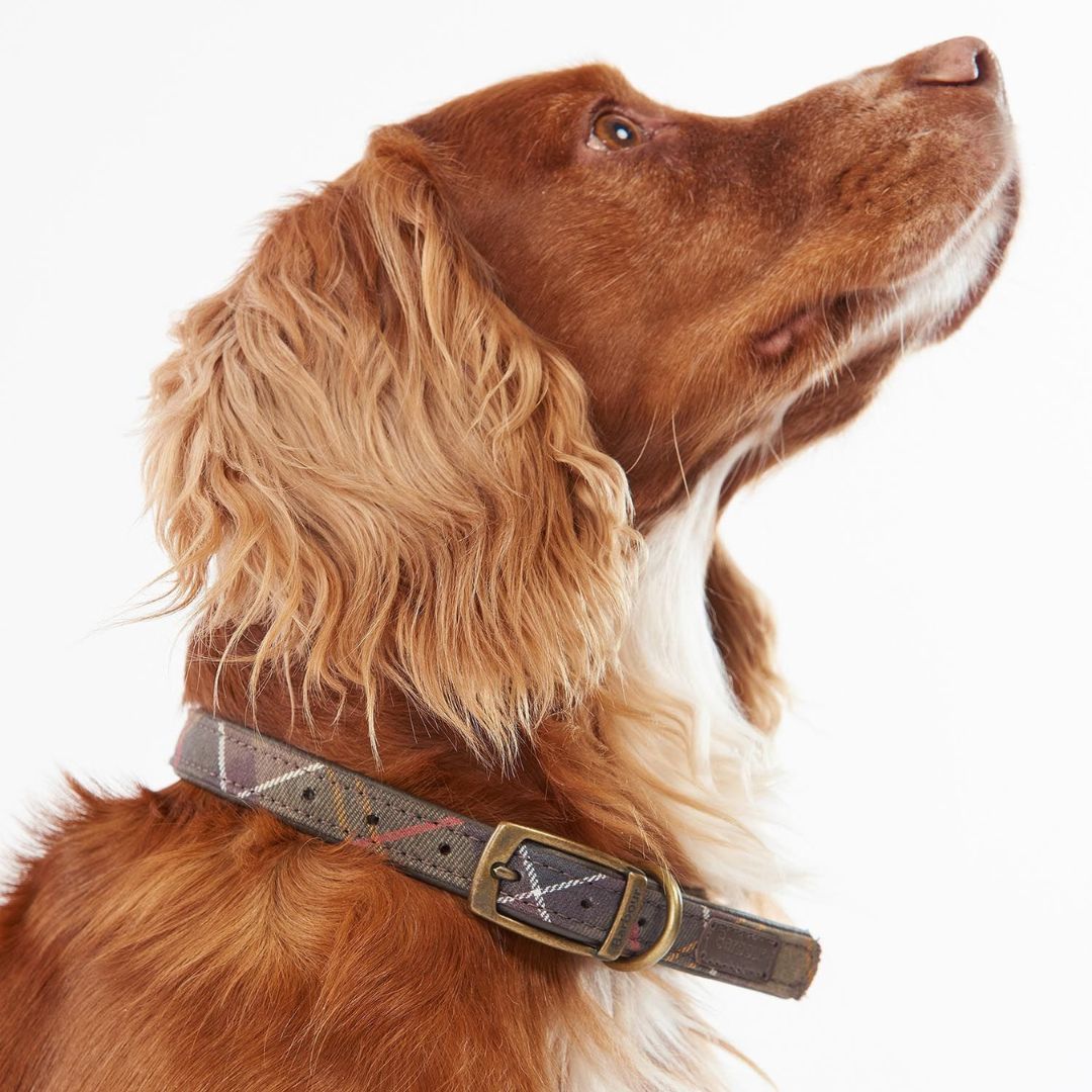 Barbour Dog Collar in Classic Tartan