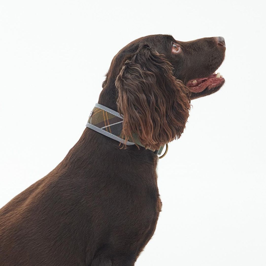 Barbour Reflective Comfort Dog Collar in Classic Tartan