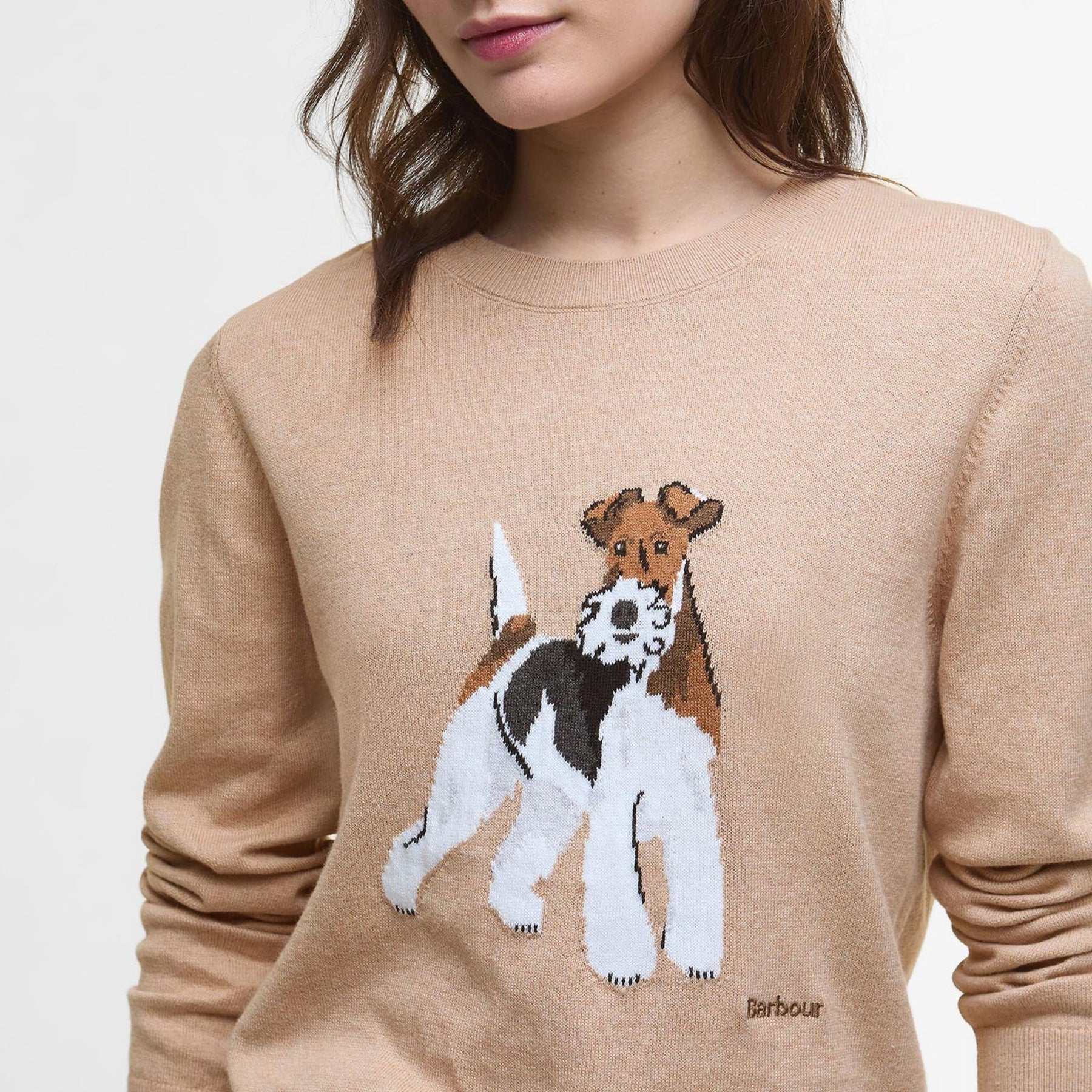 Barbour Women's Fareham Crew Neck Jumper in Pale Camel