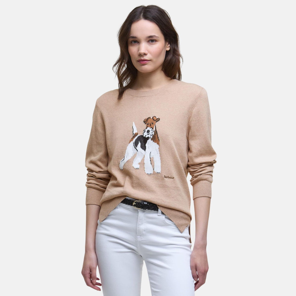 Barbour Women's Fareham Crew Neck Jumper in Pale Camel