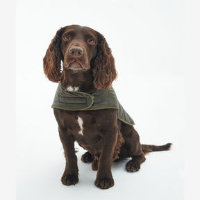 Barbour Baffle Quilted Dog Coat in Dark Olive