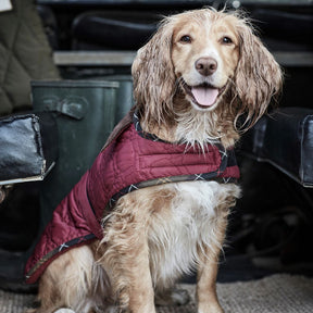 Barbour Dog Bone Quilted Dog Coat in Cranberry