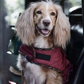 Barbour Dog Bone Quilted Dog Coat in Cranberry