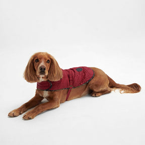 Barbour Dog Bone Quilted Dog Coat in Cranberry
