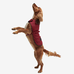Barbour Dog Bone Quilted Dog Coat in Cranberry