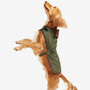 Barbour Dog Bone Quilted Dog Coat in Dark Olive