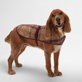 Barbour Dog Coat in Muted Cabernet