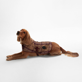 Barbour Dog Coat in Muted Cabernet - Main Image