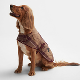 Barbour Dog Coat in Muted Cabernet