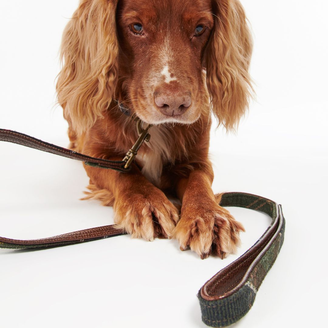 Barbour Dog Lead in Classic Tartan