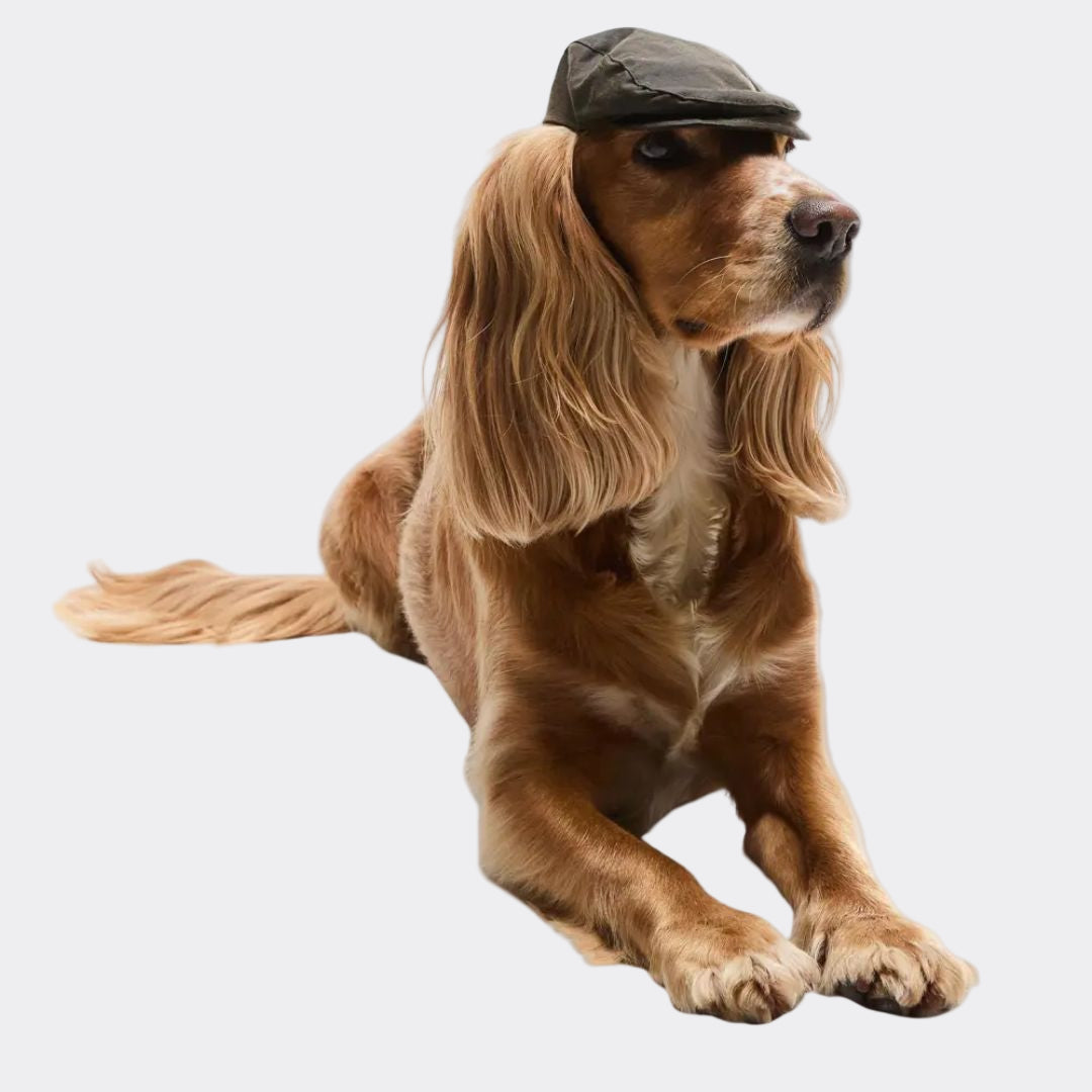 Barbour Dog Wax Flat Cap in Olive