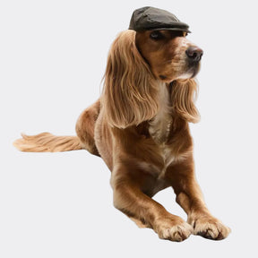 Barbour Dog Wax Flat Cap in Olive