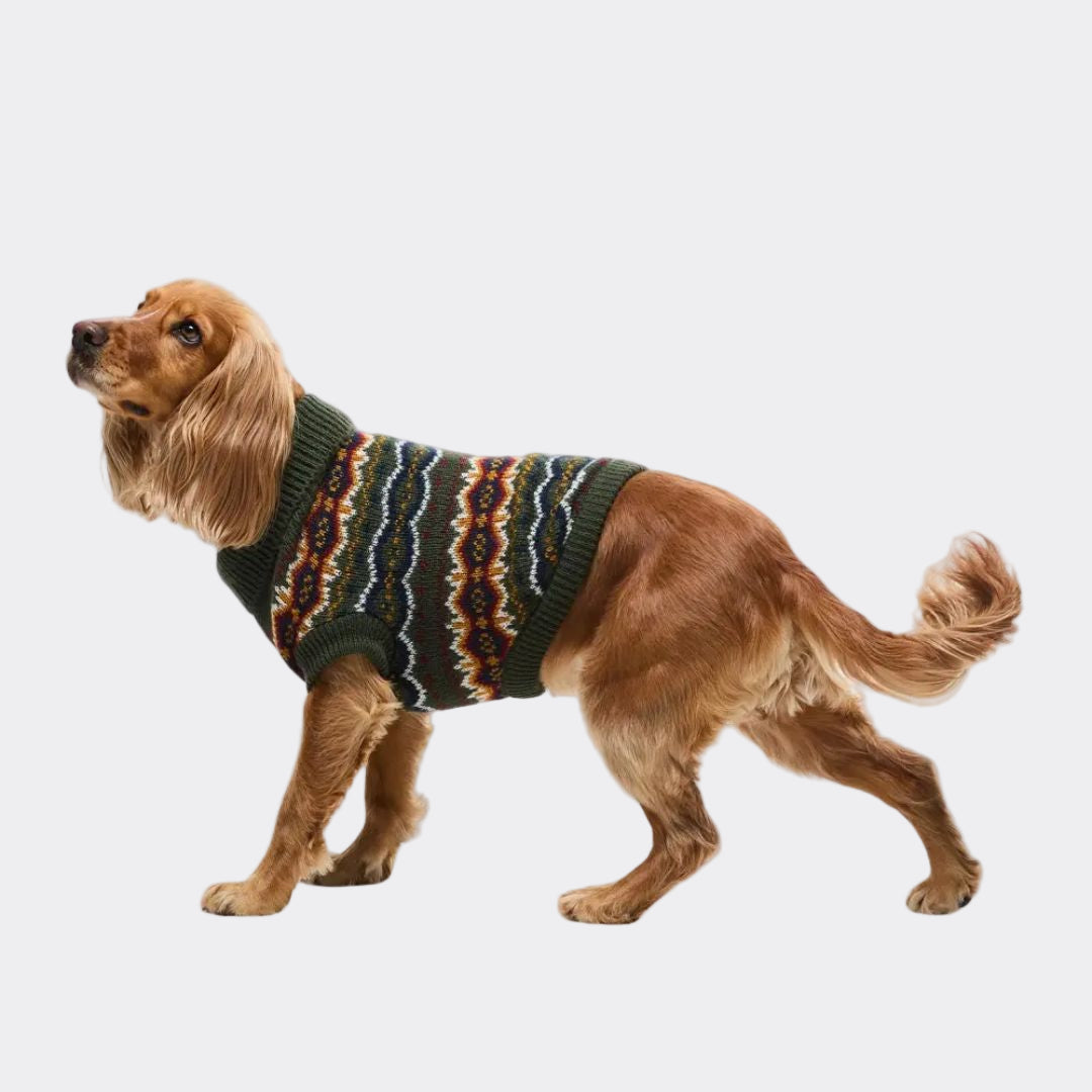 Barbour Fair isle Dog Jumper & Bobble Hat Gift Set in Olive