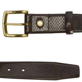 Barbour Men's Jaspar Leather Belt in Brown