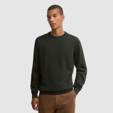 Barbour Men's Pima Crewneck Sweater in Sage