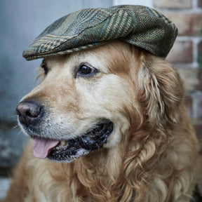 Barbour Men's Wilkin Flat Cap in Olive Check